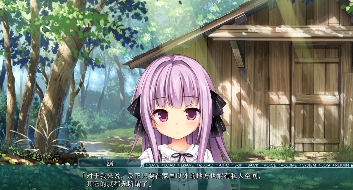 图片[3]-由梦想与色彩编织而成 精翻汉化版+CG+存档