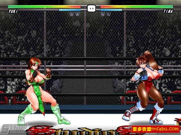 图片[4]-Strip Fighter 5 V1.2hotfix STEAM官方中文豪华完整版+DLC