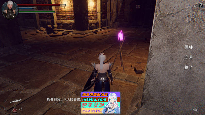 图片[3]-[PC/3DACT/中文/动态]地下城的女骑士 官方中文步兵版+存档[新步兵][  3.3G ]