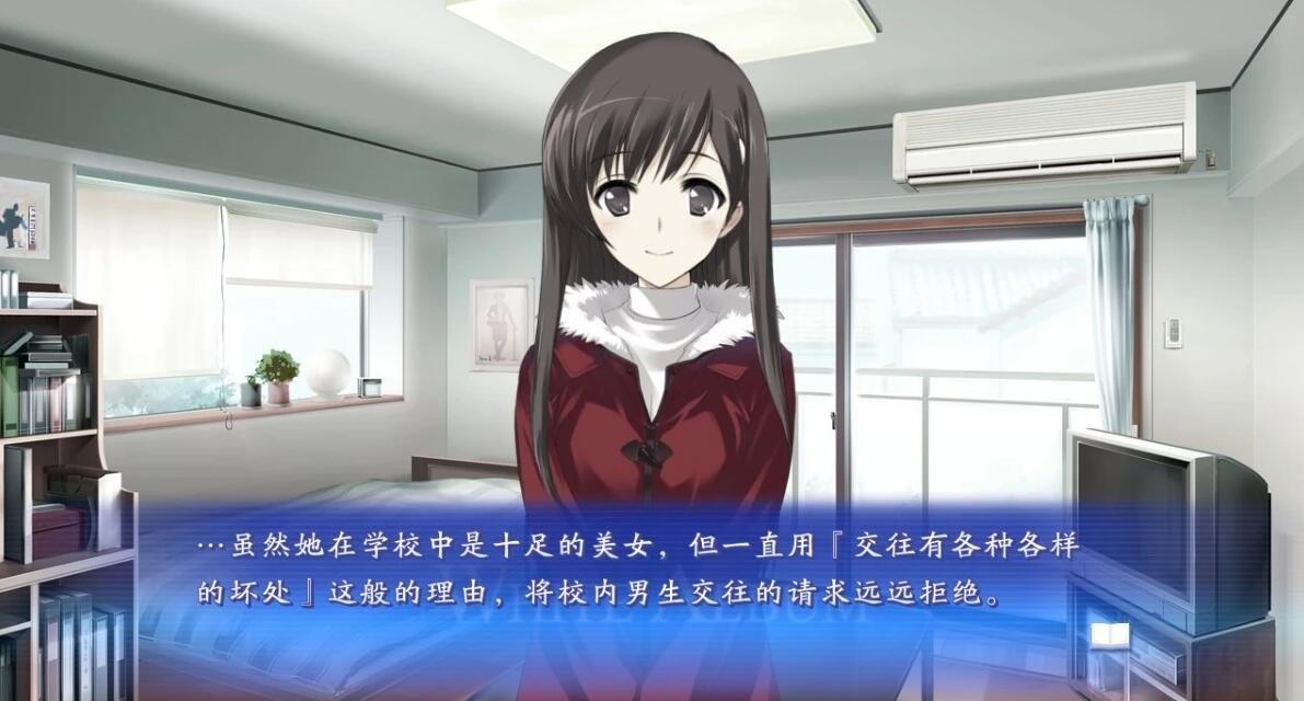 图片[3]-白色相簿:编缀的冬日回忆 V1.0 STEAM官中+攻略+存档