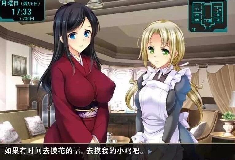 自宅警备员2!胁迫无双 V1.23.3.3 云汉版-GKACG