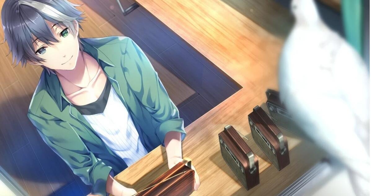 [Laplacian] 未来无线电和人工鸽 汉化硬盘版-GKACG